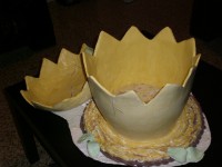 /album/galleria-fotografica/cimg4644-jpg1/