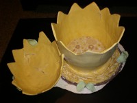 /album/galleria-fotografica/cimg4649-jpg1/