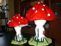 /album/galleria-fotografica/cimg4913-jpg1/