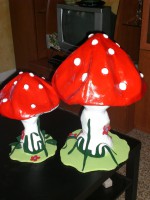 /album/galleria-fotografica/cimg4915-jpg1/