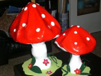 /album/galleria-fotografica/cimg4916-jpg1/